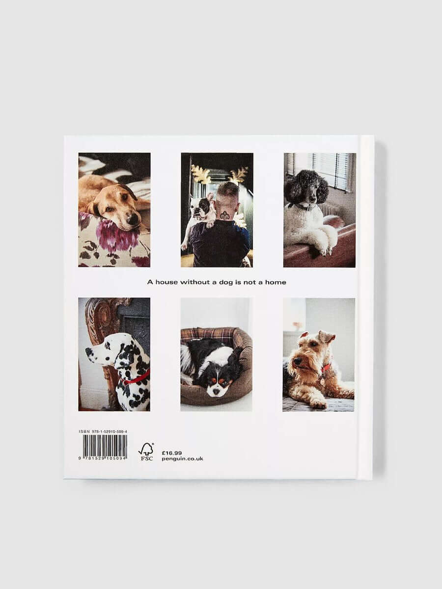 Dogs at Home - Image 2