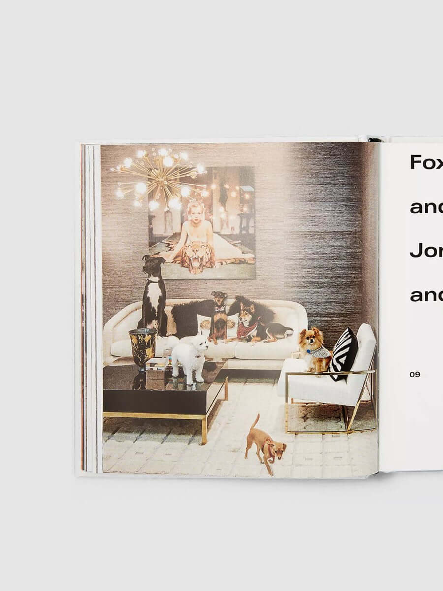 Dogs at Home - Image 3