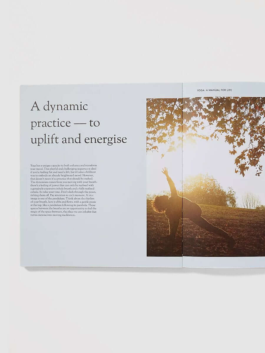 Yoga: a Manual for Life - Image 2